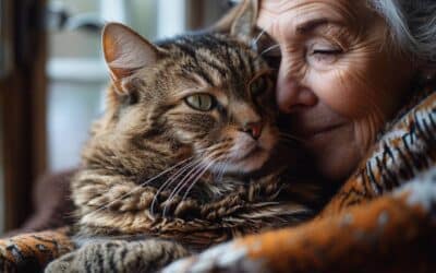 Hyperthyroïdie chez le chat : Comment gérer cette maladie fréquente chez les seniors ?